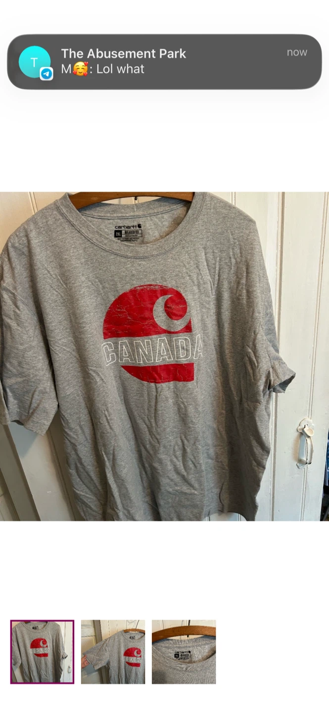 Carhartt Relaxed Fit T-Shirt Canada Graphic Grey 2XL