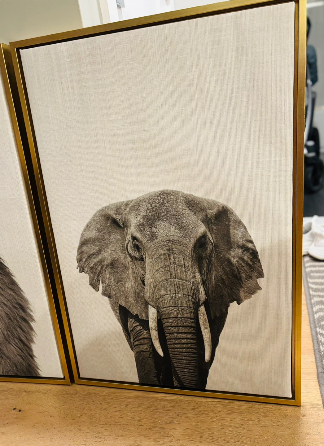 Framed Animal Canvas Wall Art - photo 2