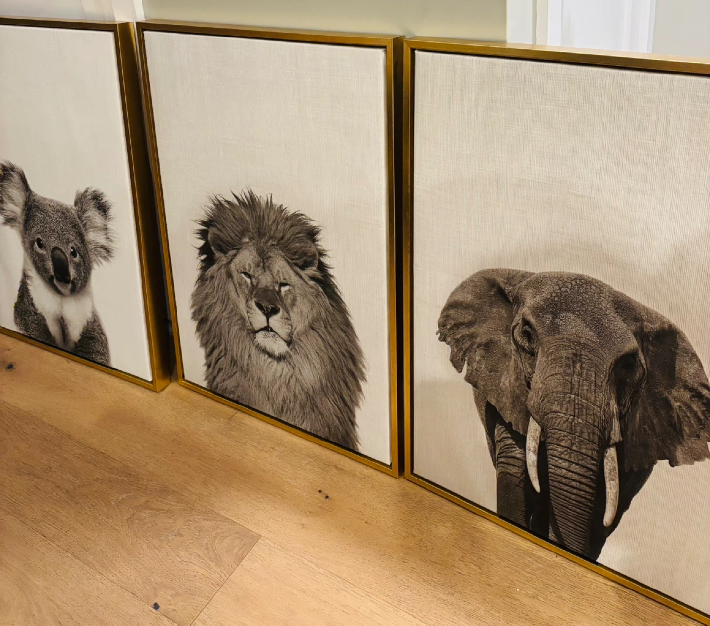 Framed Animal Canvas Wall Art