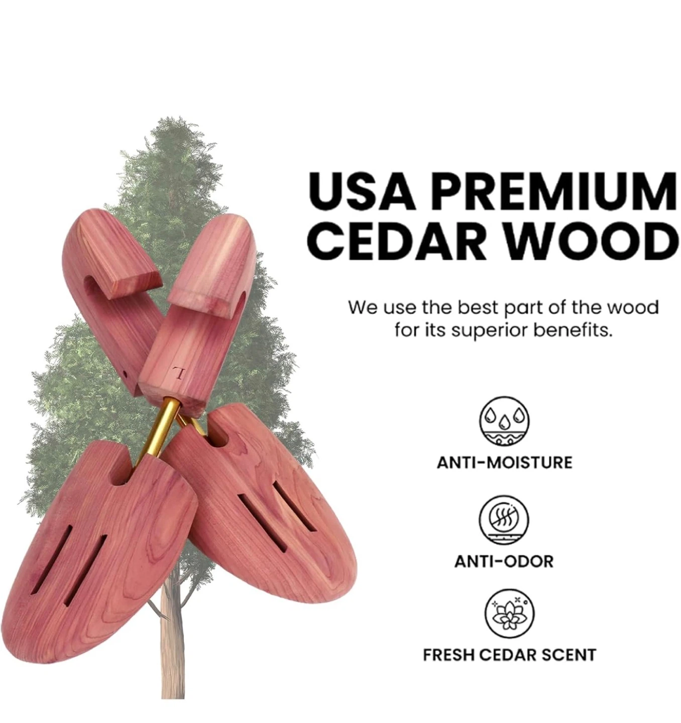Cedar Shoe Trees - Pair - photo 3