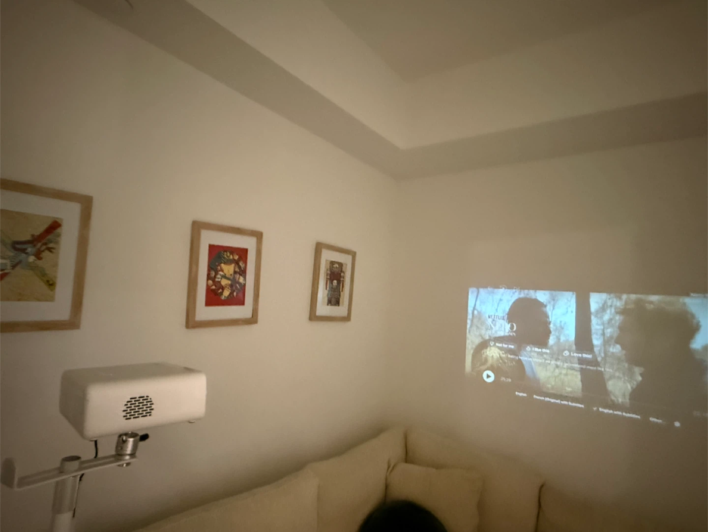 Home Theatre: 100 Inch Projector Screen & Dolby Projector - photo 3