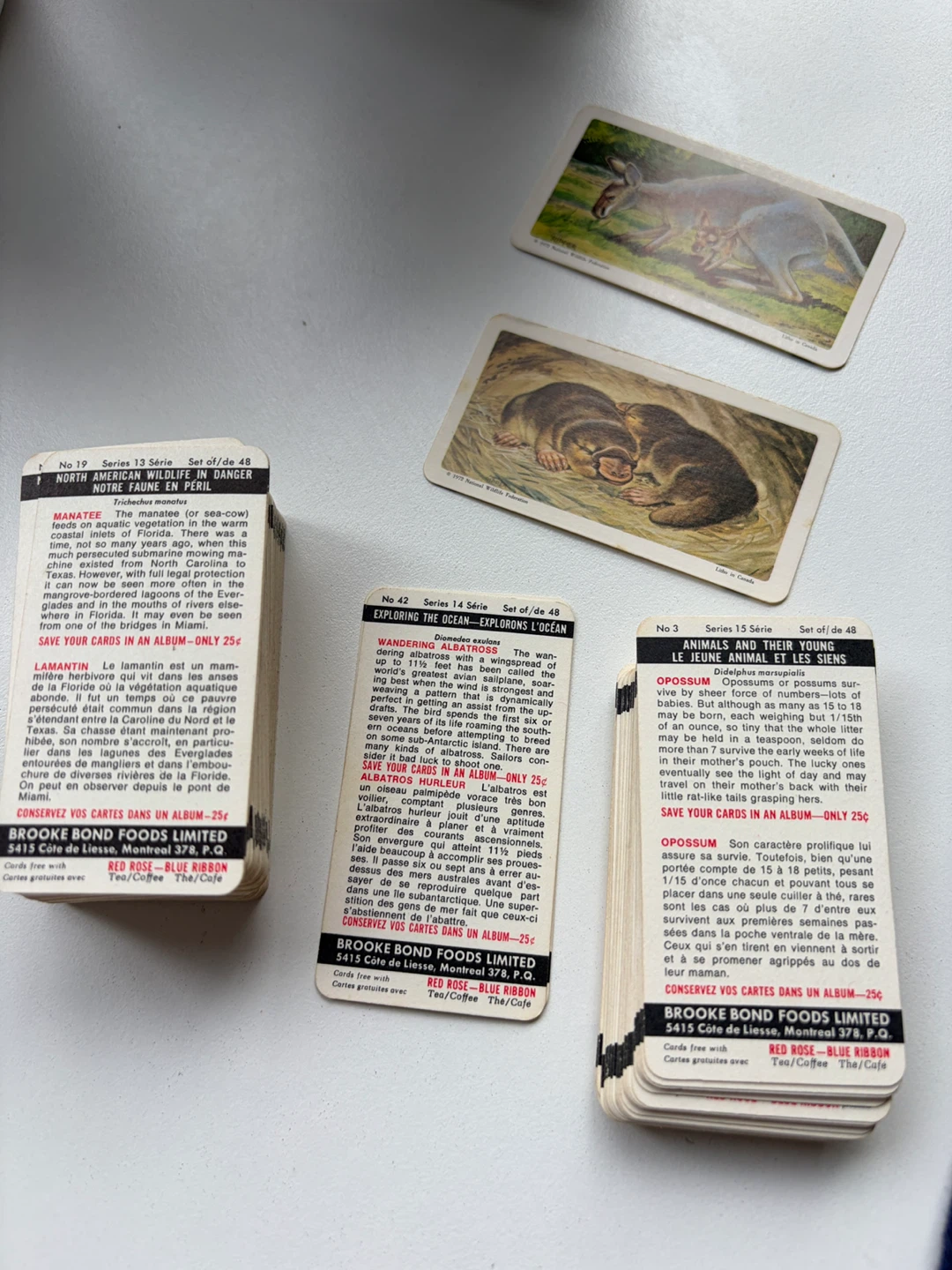 Brooke Bond Foods Wildlife Cards (Manatee, Albatross, Opossum)
