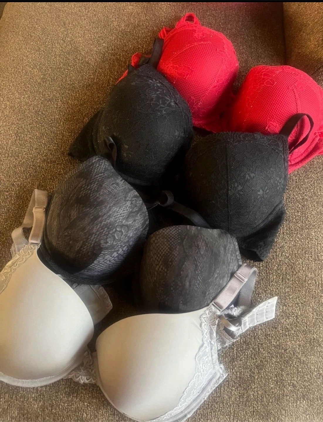 Torrid bras