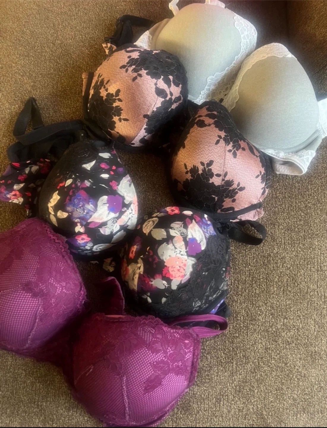 Torrid bras