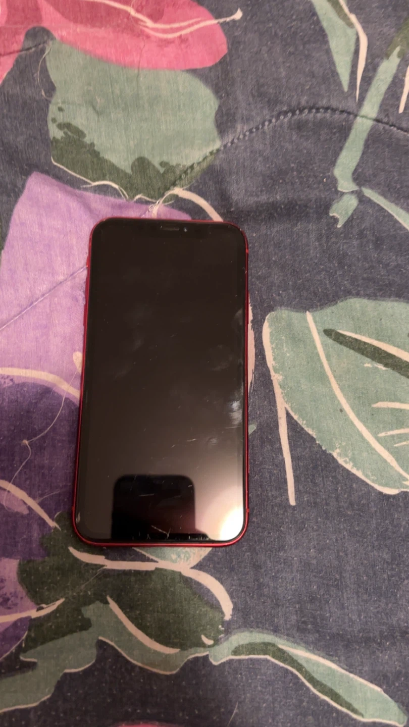 iPhone XR - photo 2