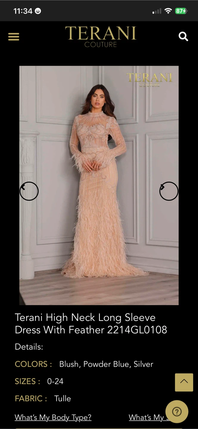 Terani Couture High Neck Feather Gown 2214GL0108 - photo 2