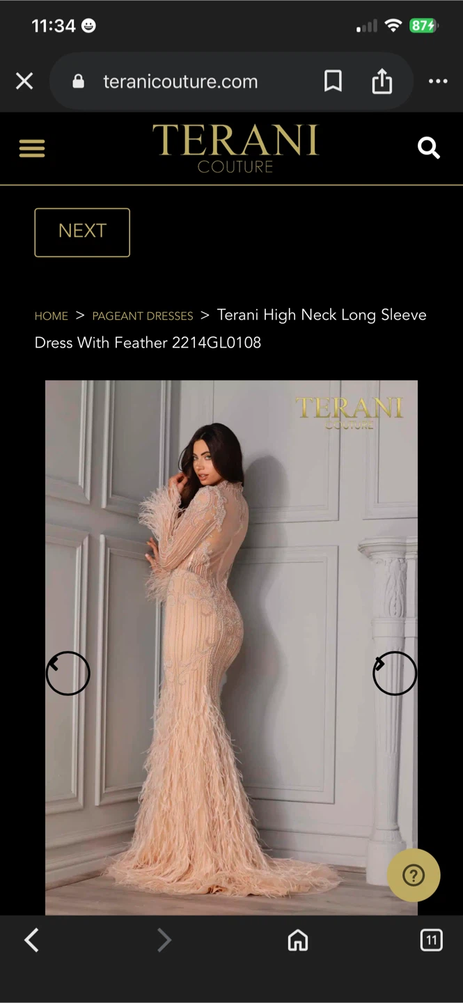 Terani Couture High Neck Feather Gown 2214GL0108