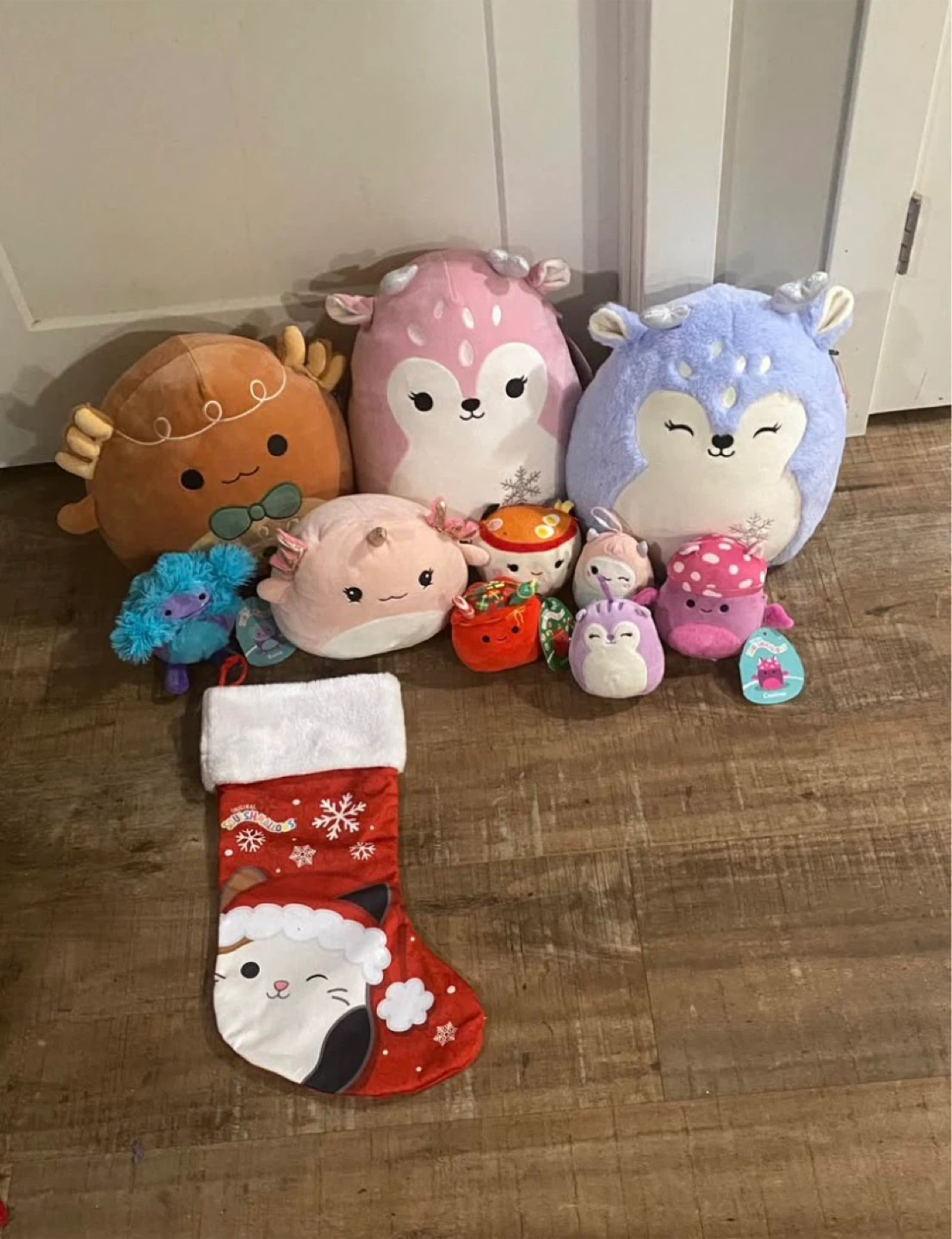 Squishmallow bundle lot