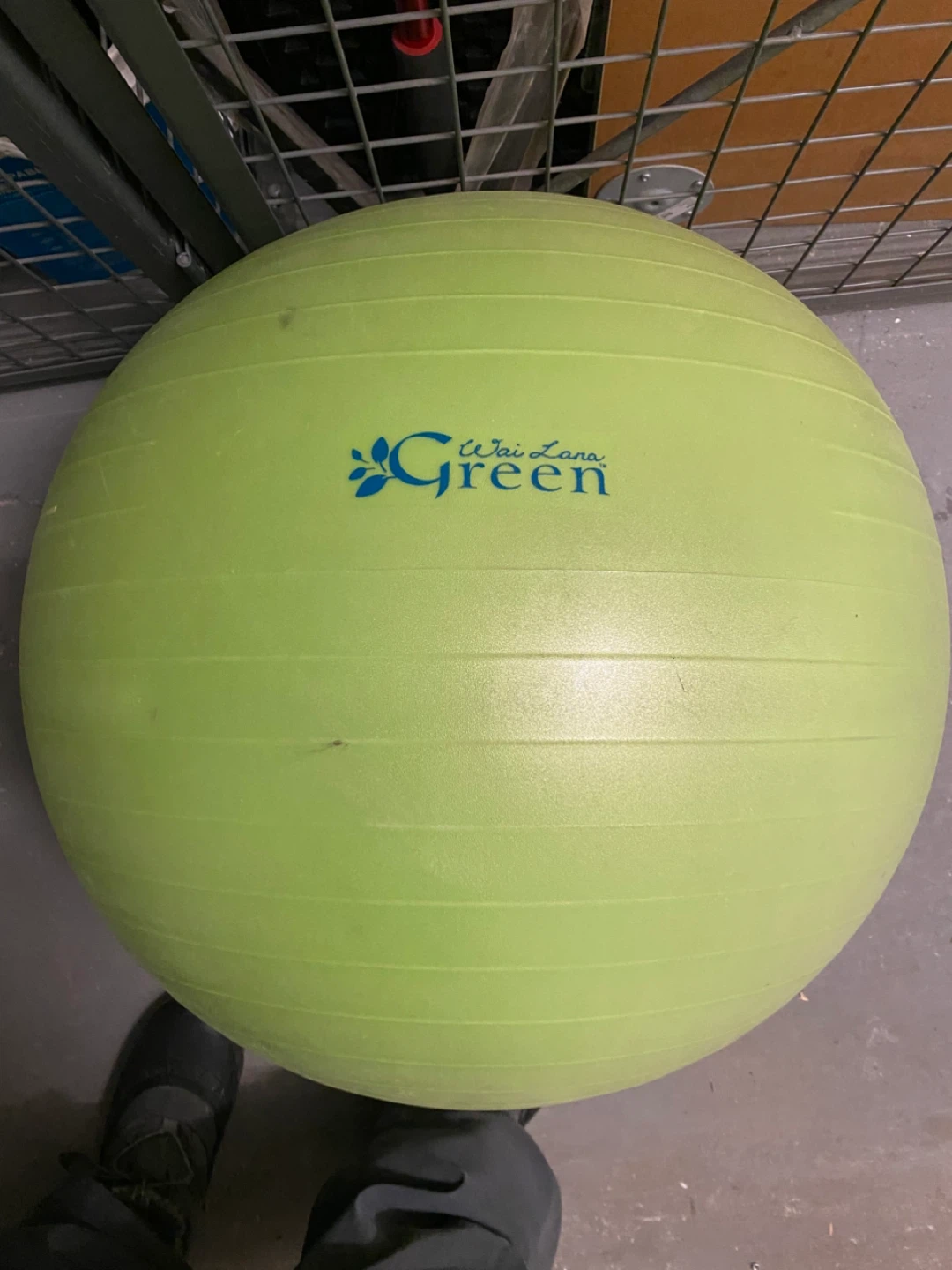 Yoga/Exercise Ball