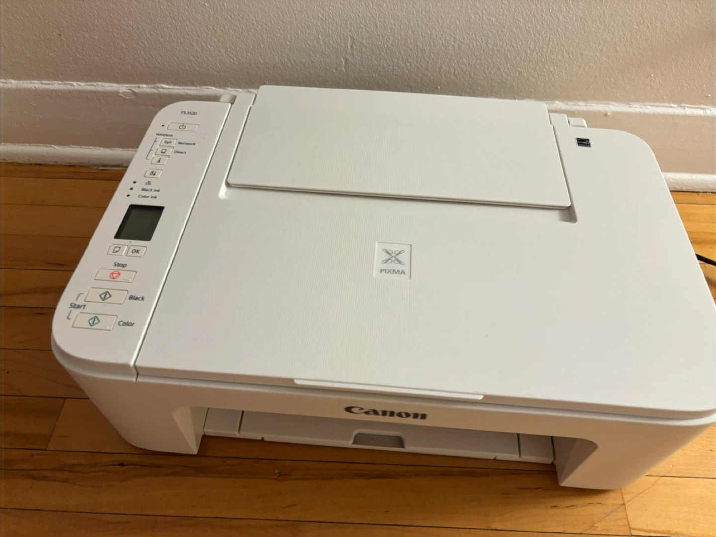 Canon PIXMA TS3120 All-in-One Printer - photo 2