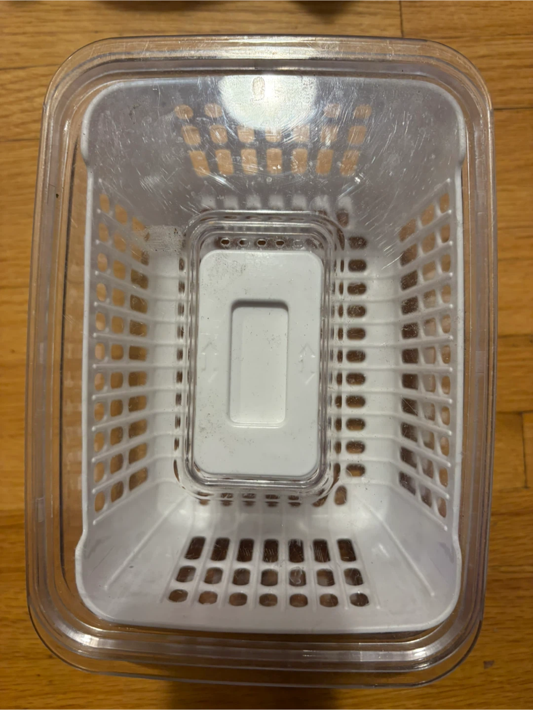 Clear Storage Container with White Insert