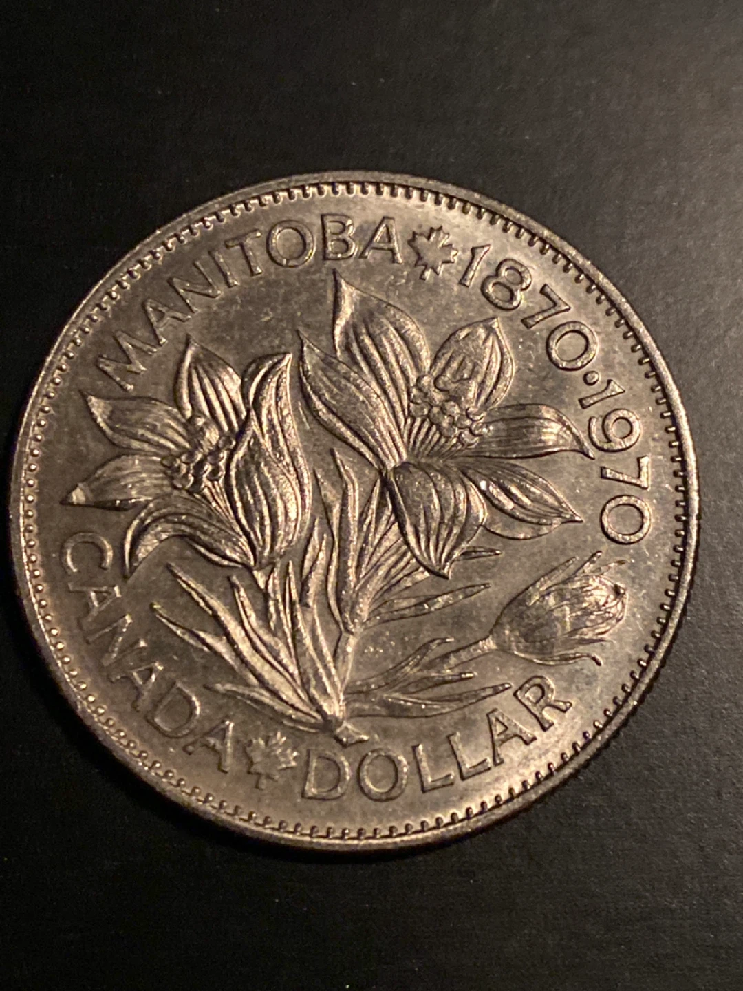 1970 Canada Manitoba Dollar Coin - photo 3