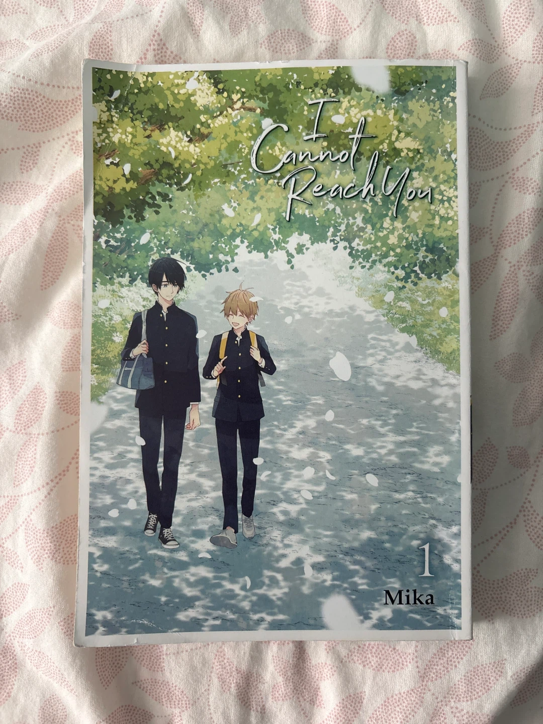 I cannot reach you Chapter 1
