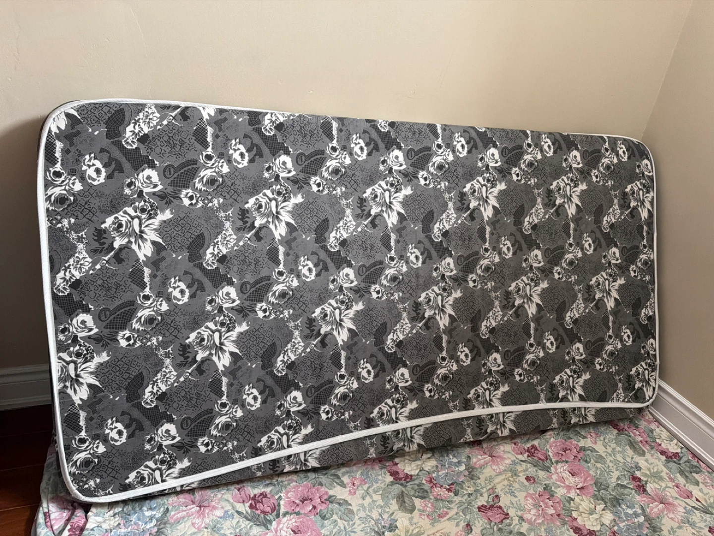 Twin Size Mattress
