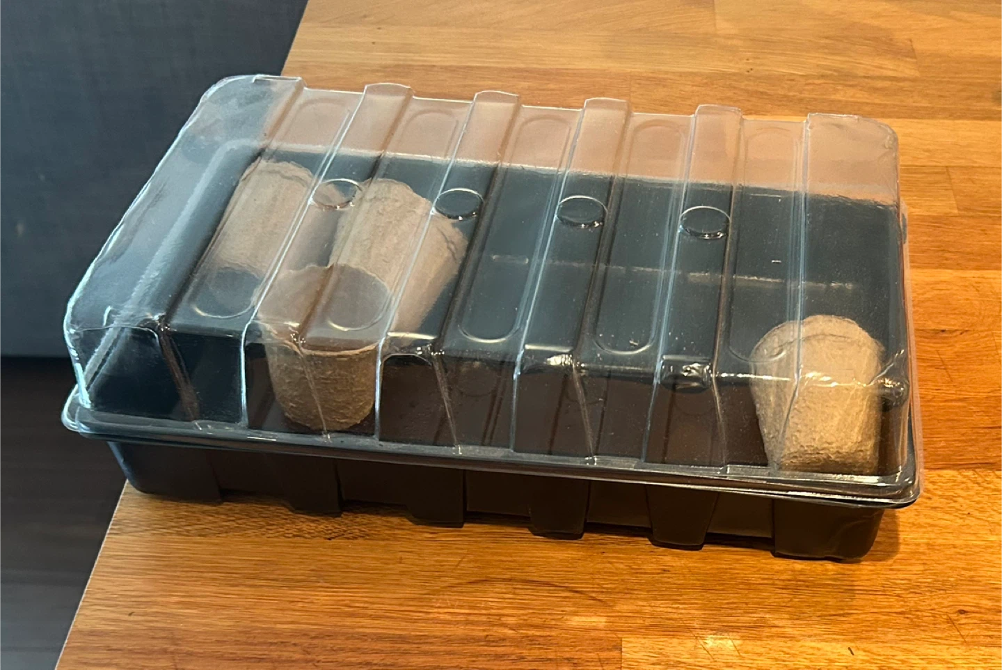 Seedling Starter Tray with Pots and Lid - photo 3