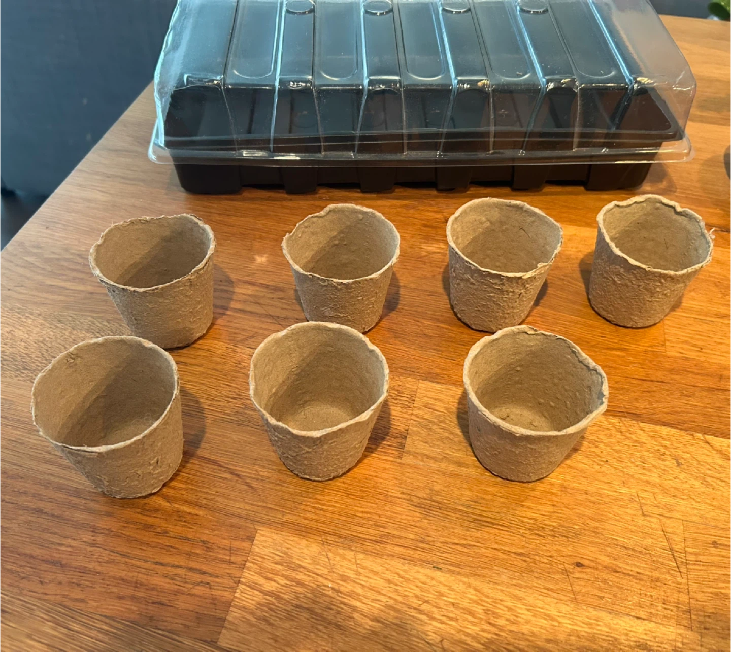 Seedling Starter Tray with Pots and Lid