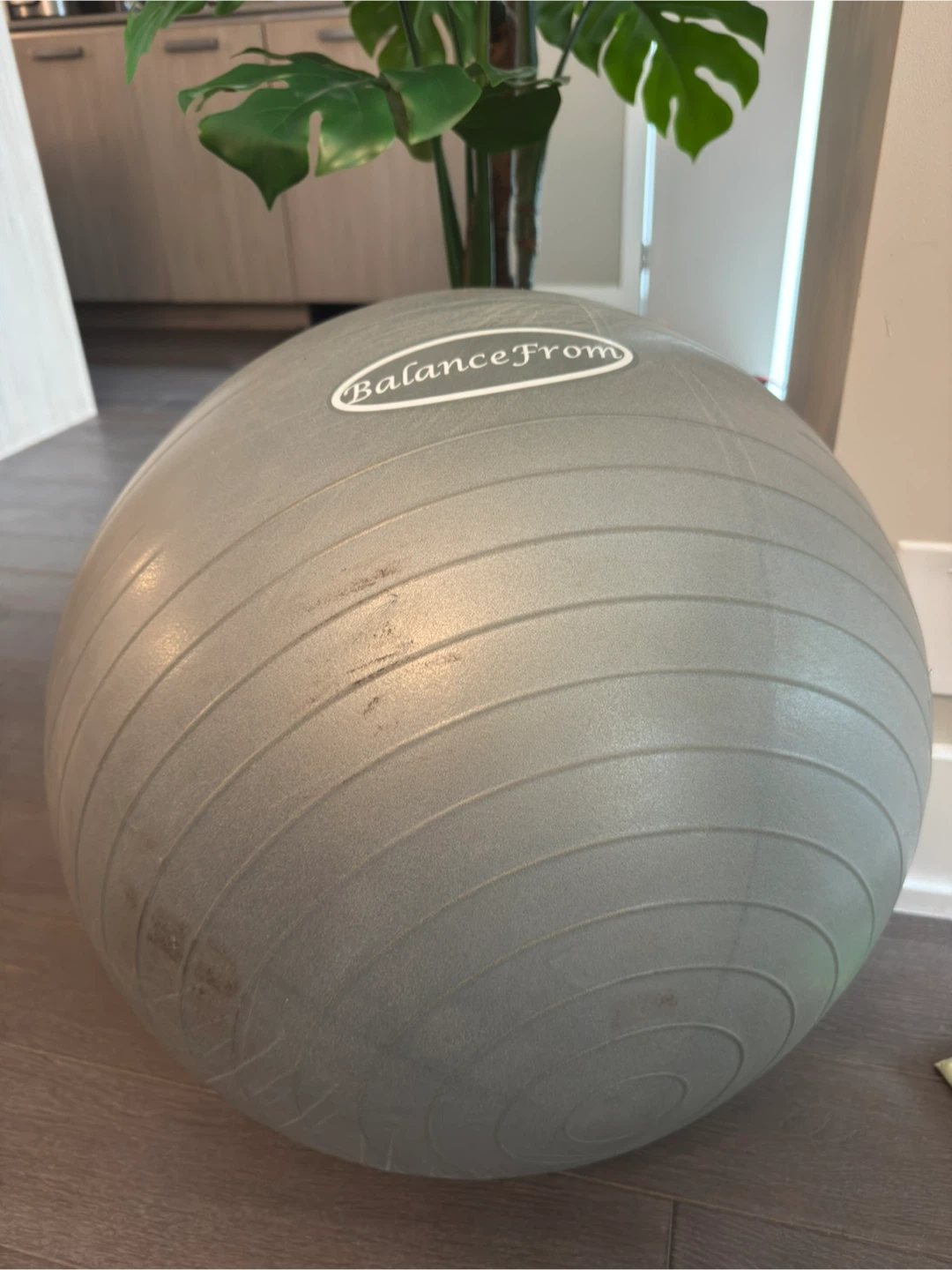 BalanceFrom Grey Exercise Yoga Ball