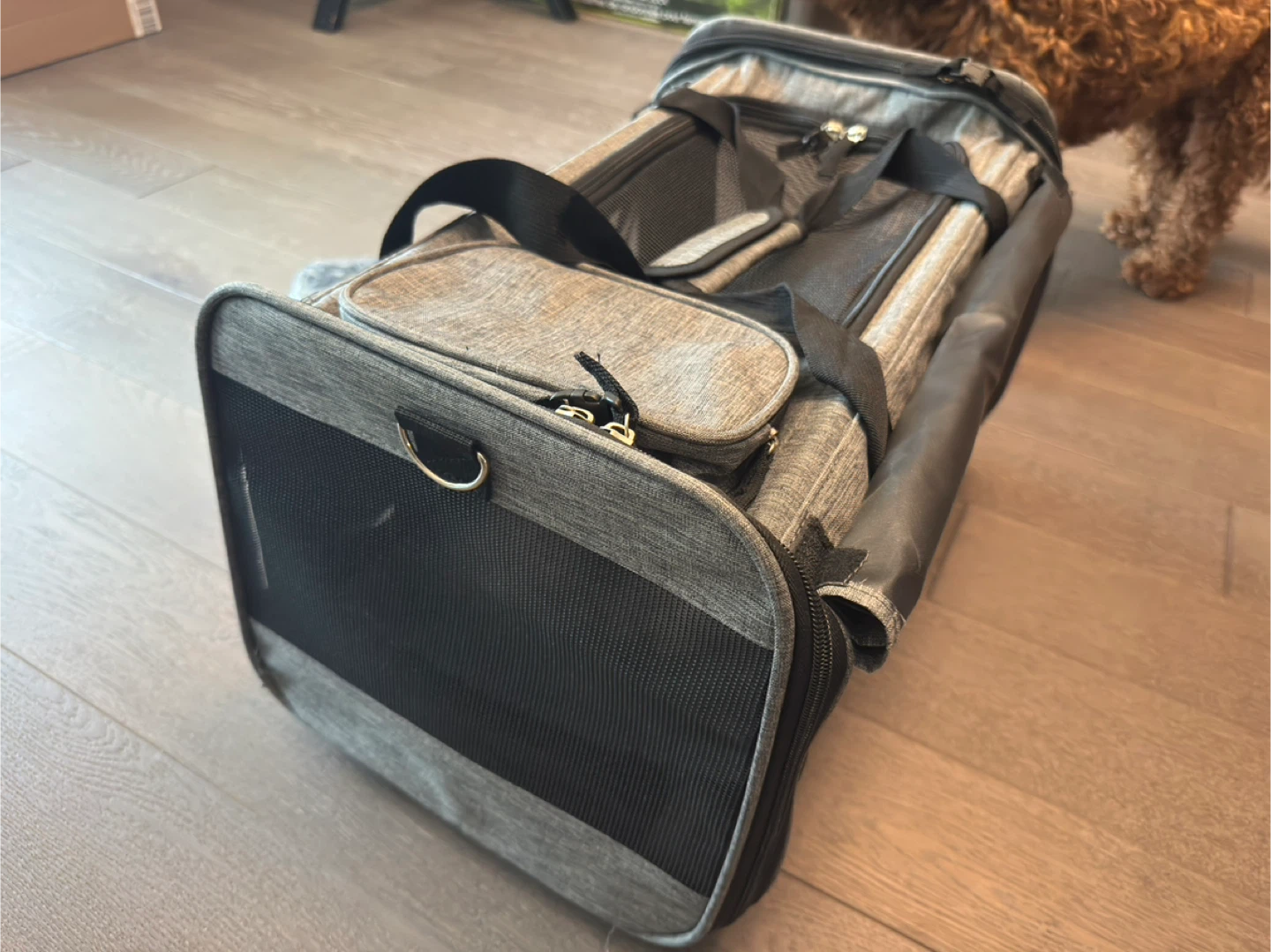 Brand NEW Pet Carrier Bag with Wheels - photo 2