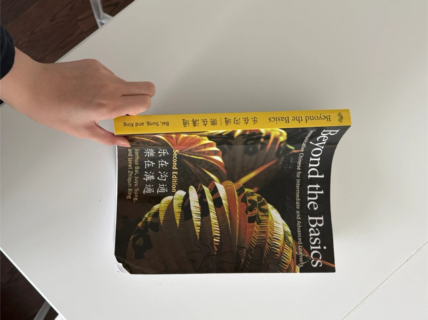 Beyond the Basics: Communicative Chinese Textbook