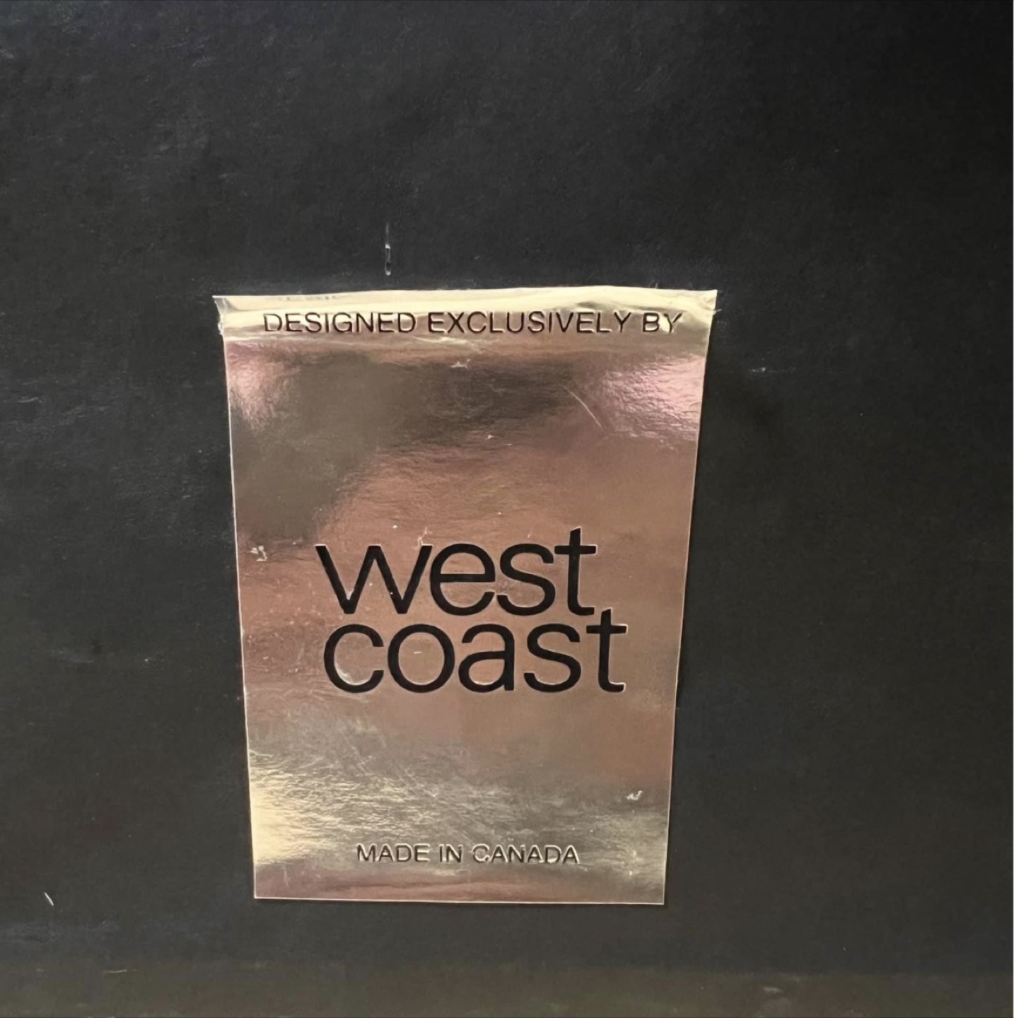 West Coast Designed Wall Art with Asian Calligraphy - photo 2
