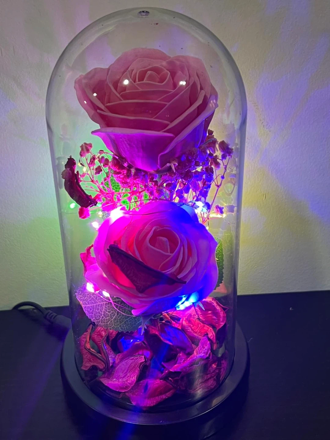 Enchanted Rose Dome with LED Lights