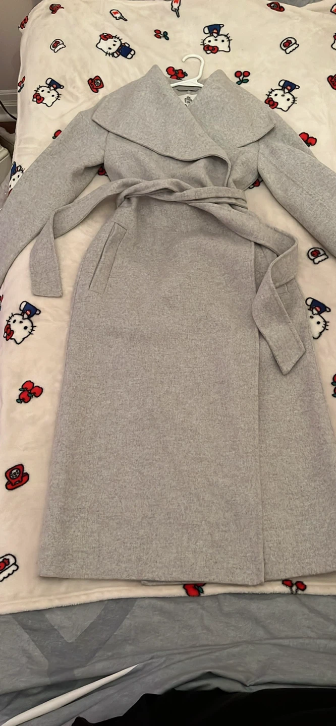 aritzia babaton wool coat