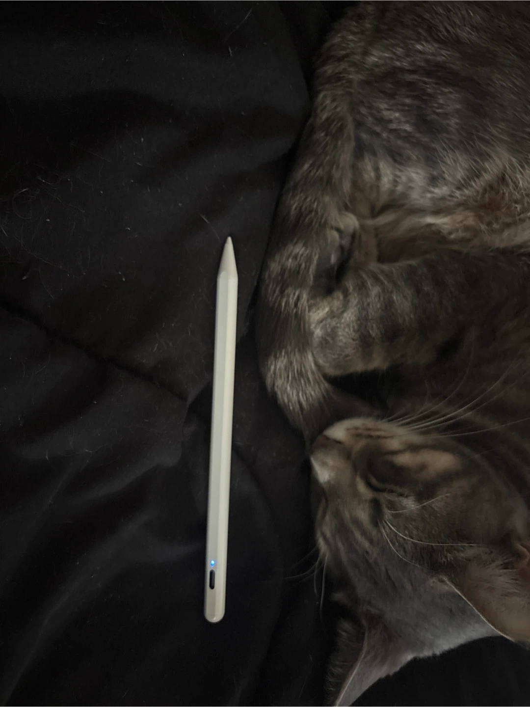 Apple Pencil USB-C