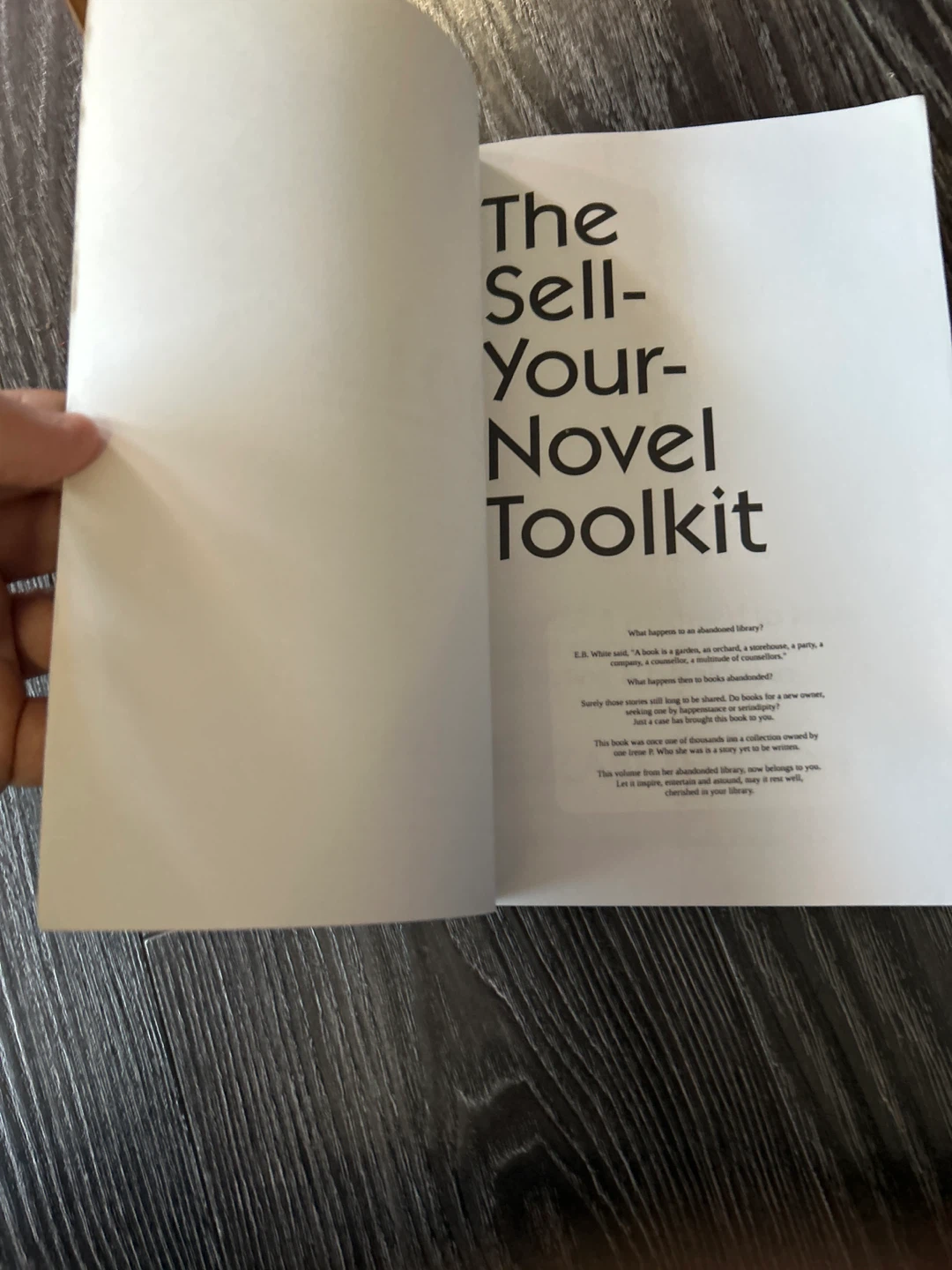The sell your novel tool kit soft cover book by Elizabeth Lyon - photo 5
