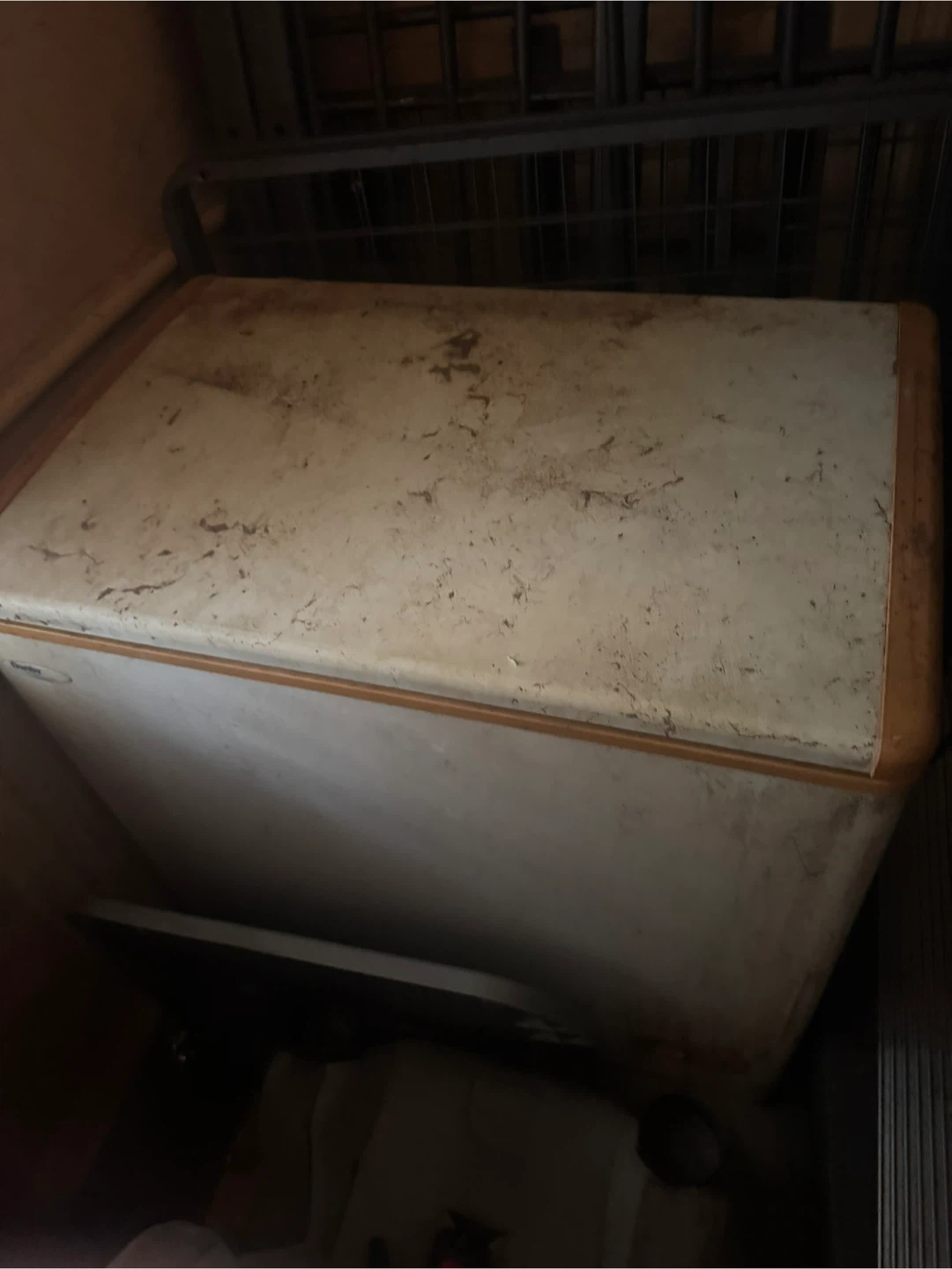 Old Chest Freezer