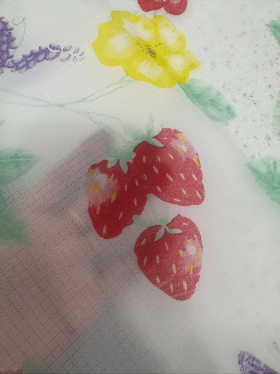 New plastic Floral and Fruit Print Tablecloth 🏆 - photo 2