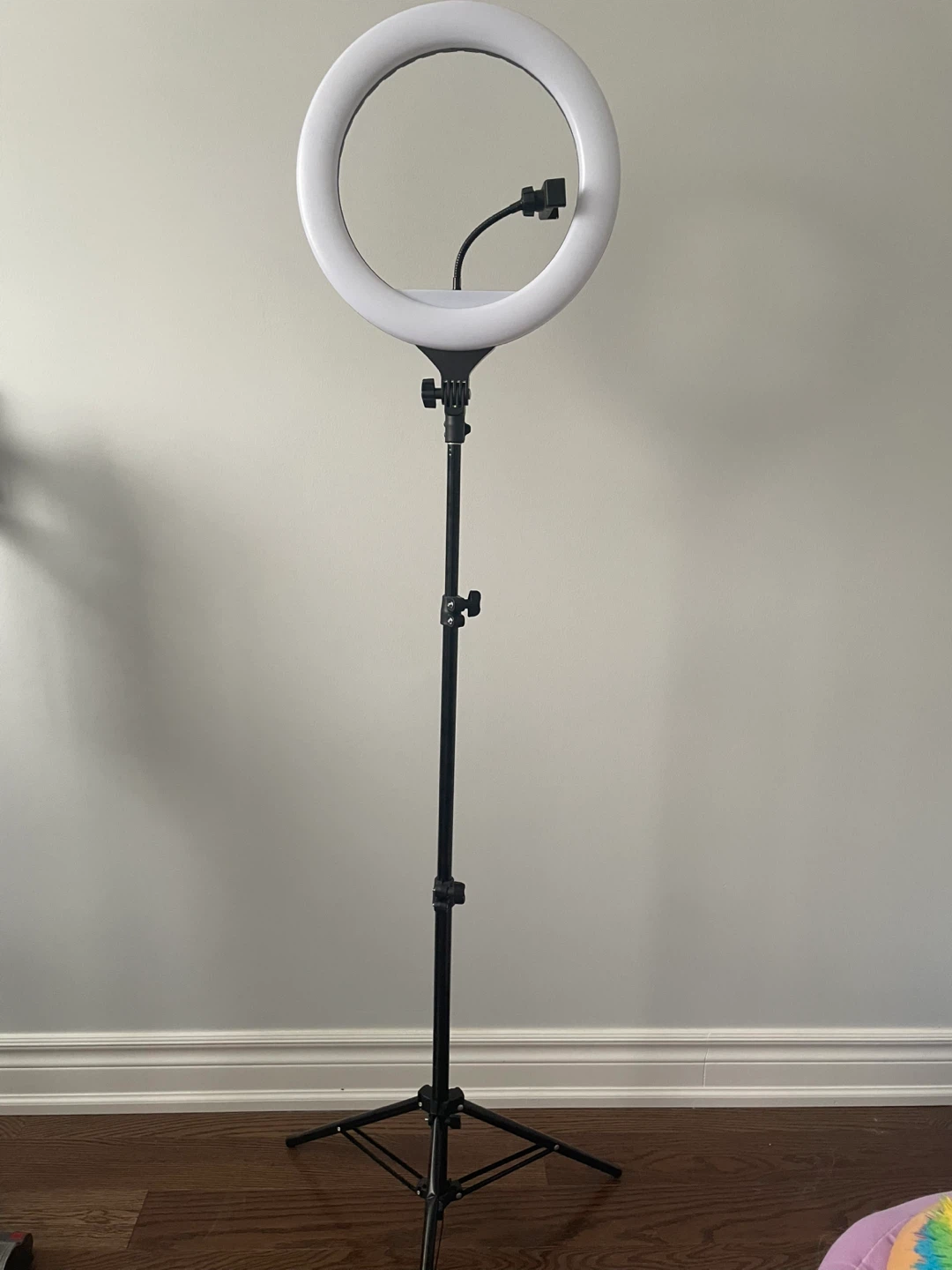 Ring Light with Stand