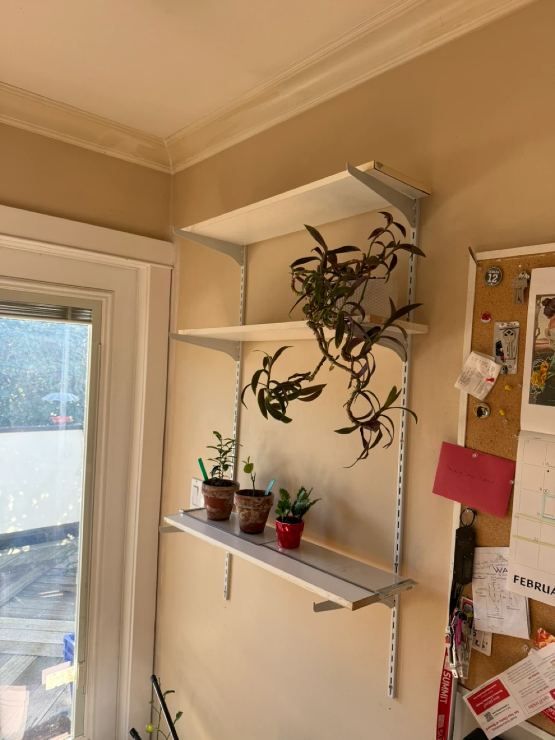 Adjustable Shelving Set