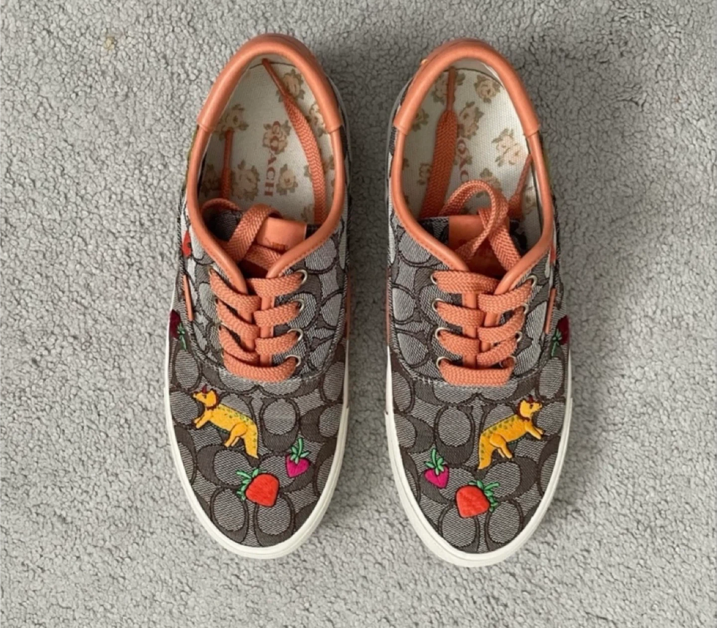 Coach X Observed By Us Skate Sneakers