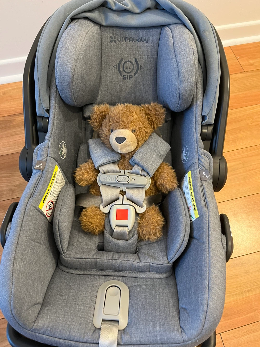 UPPAbaby MESA V2 Infant Car Seat and Base