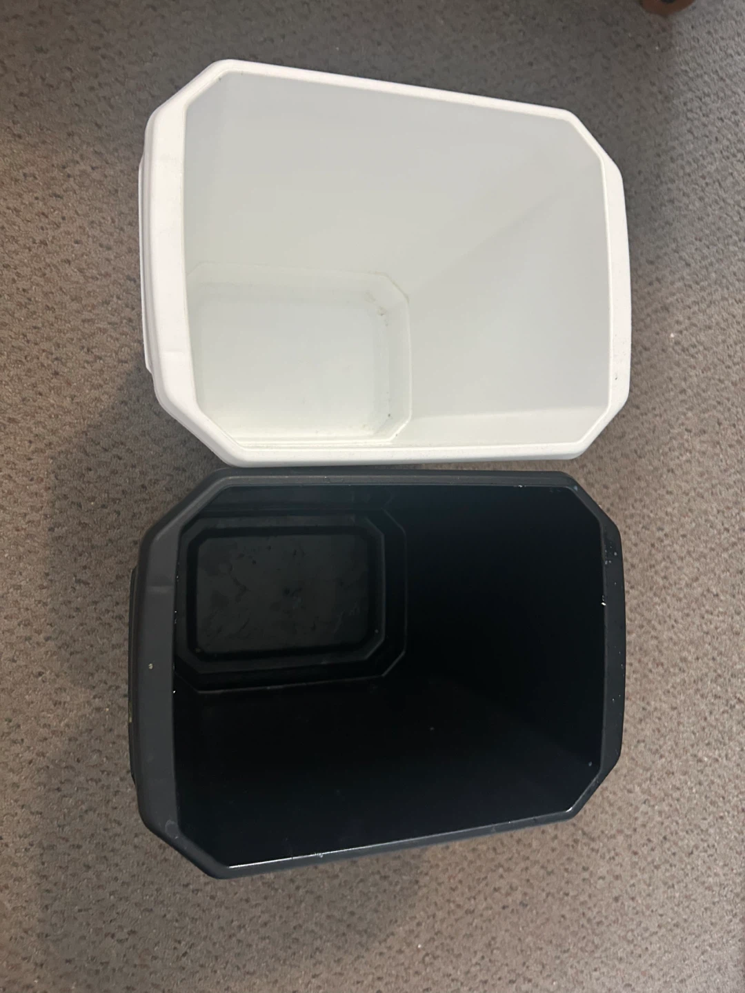 White and Black Plastic Trash Bins (Set of 2)