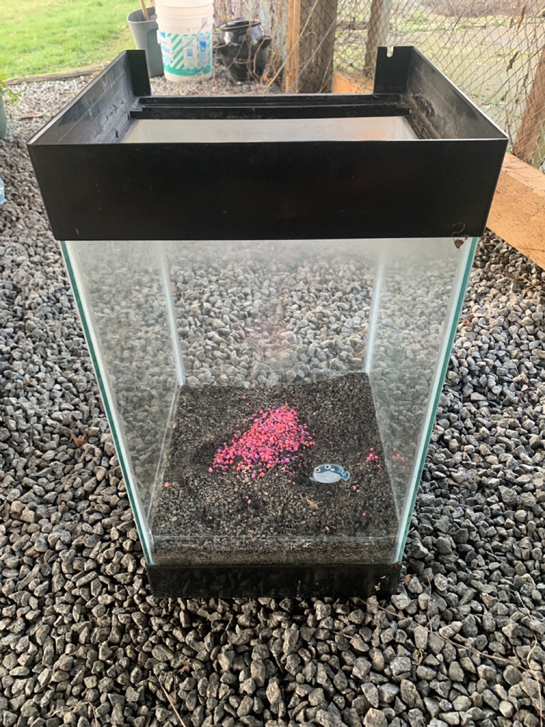 Glass Aquarium Tank