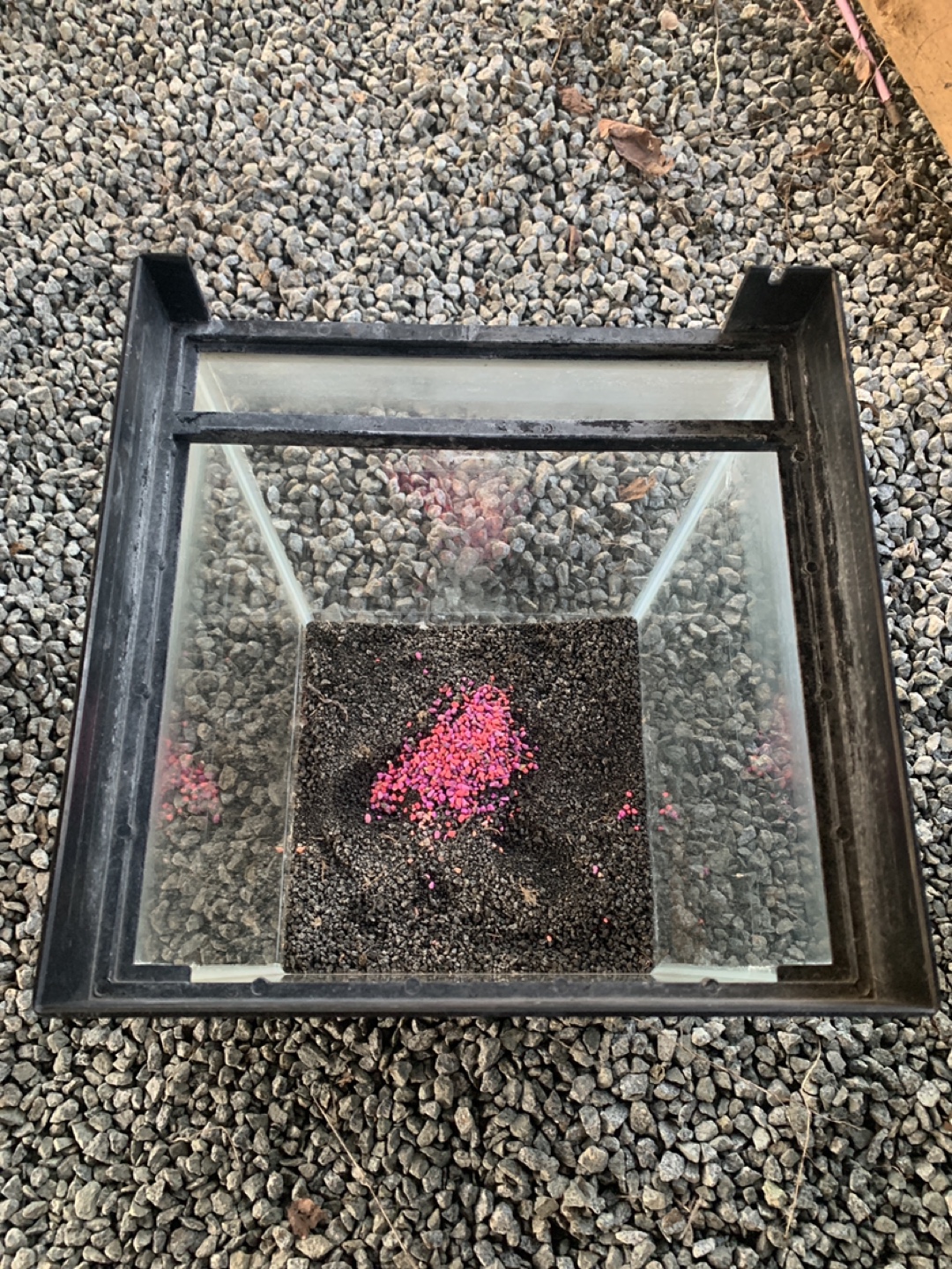 Glass Aquarium Tank - photo 2