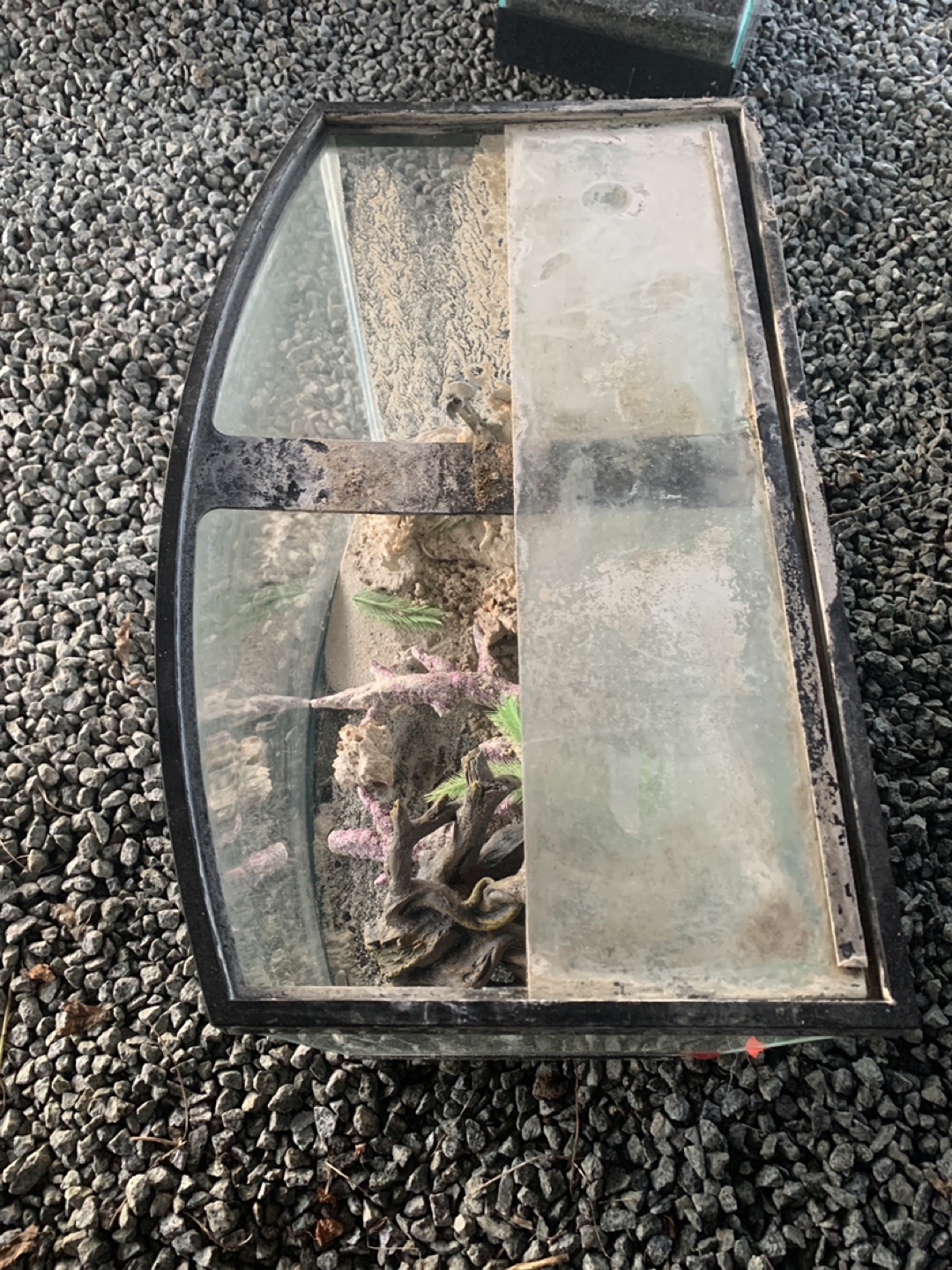 Curved Glass Aquarium with Decorations - photo 3