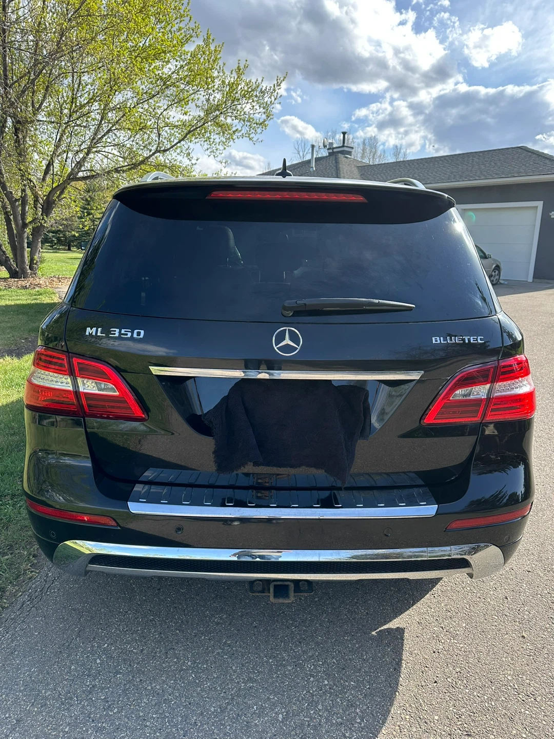 Mercedes-Benz ML 350 Bluetec - photo 4