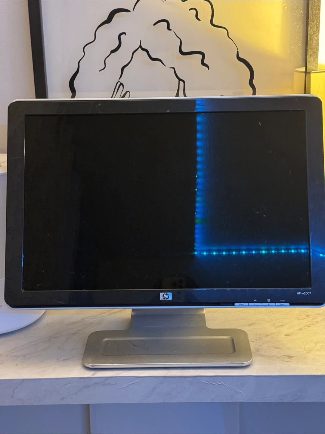 🏆 HP W2007 LCD Color Monitor - 20 Inch