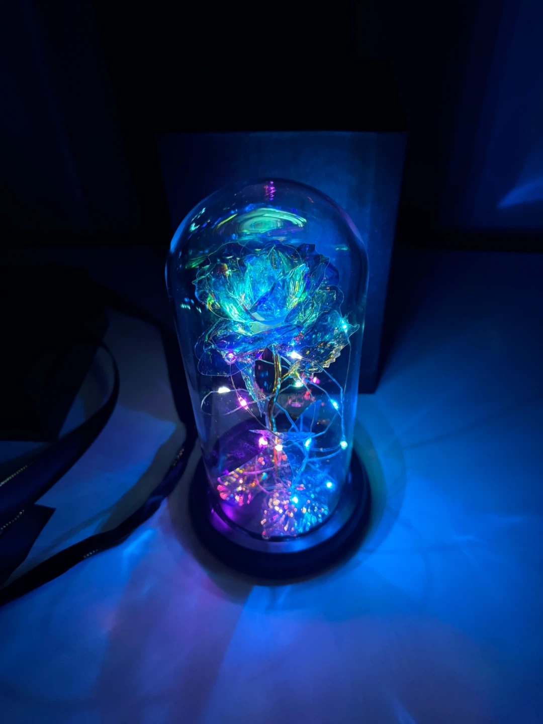 Galaxy Rose Dome with LED Lights
