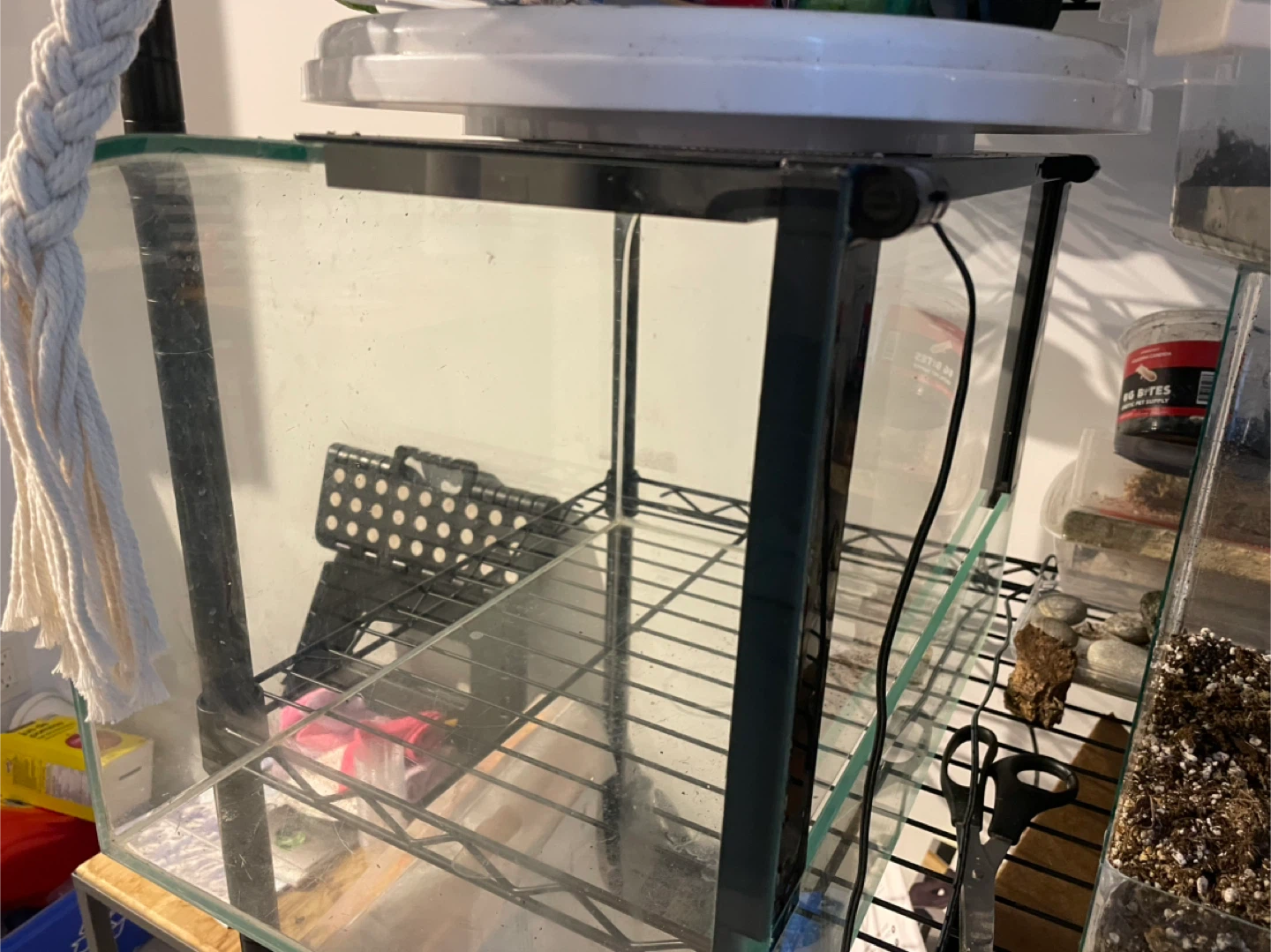 Curved Glass Terrarium/Aquarium Tank - photo 3