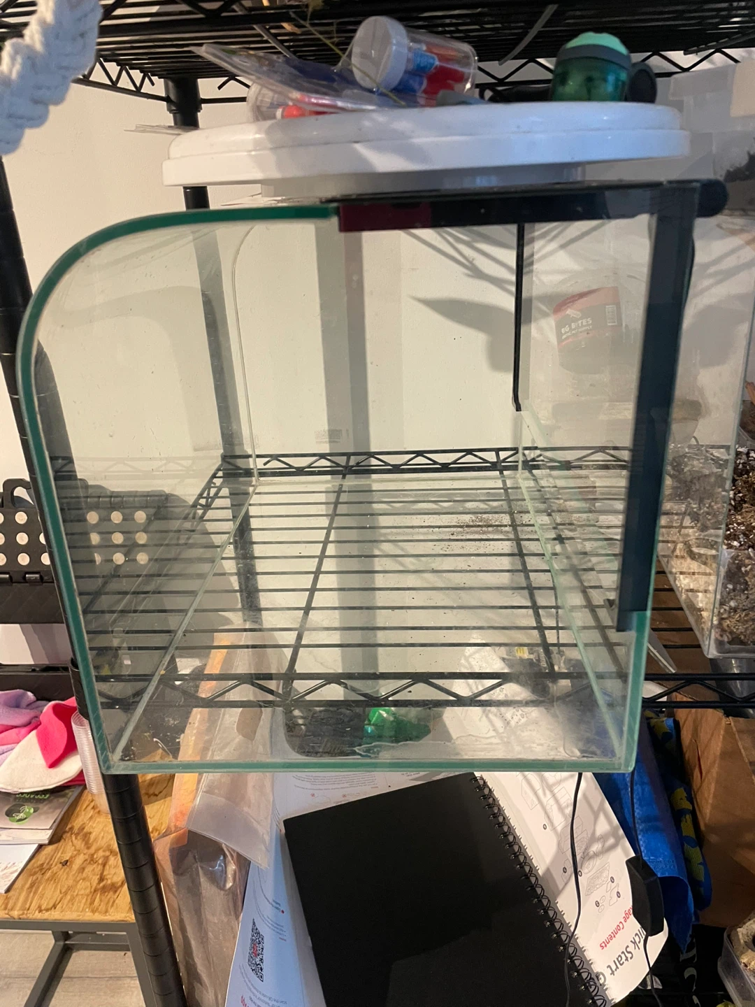 Curved Glass Terrarium/Aquarium Tank - photo 2