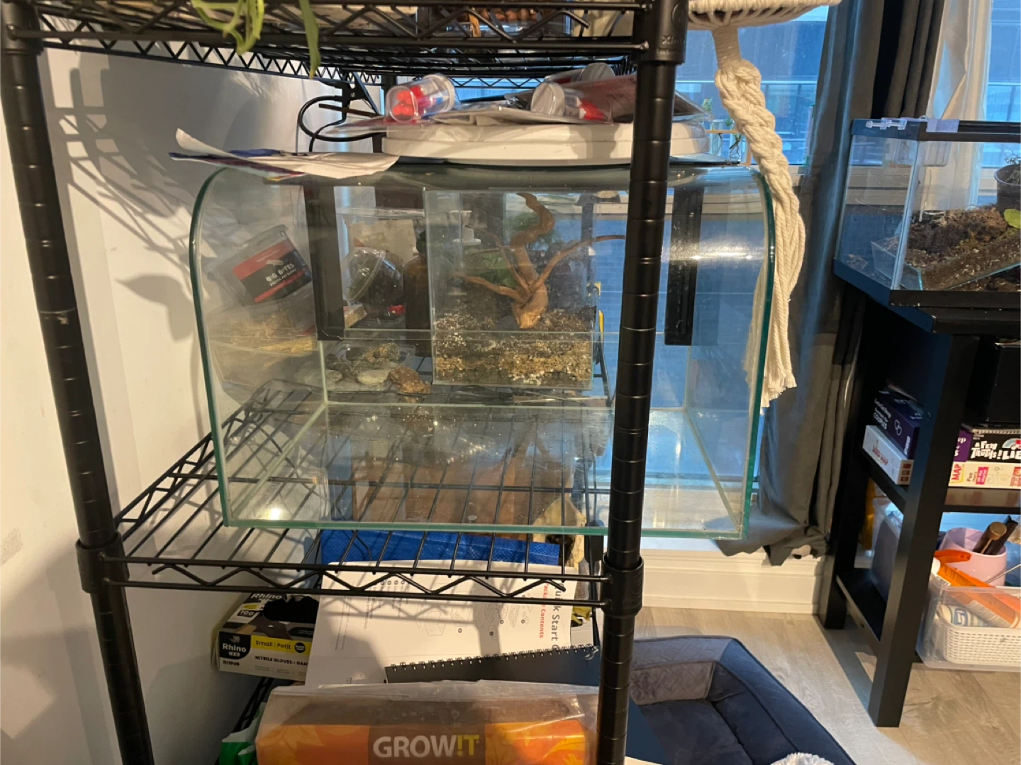 Curved Glass Terrarium/Aquarium Tank