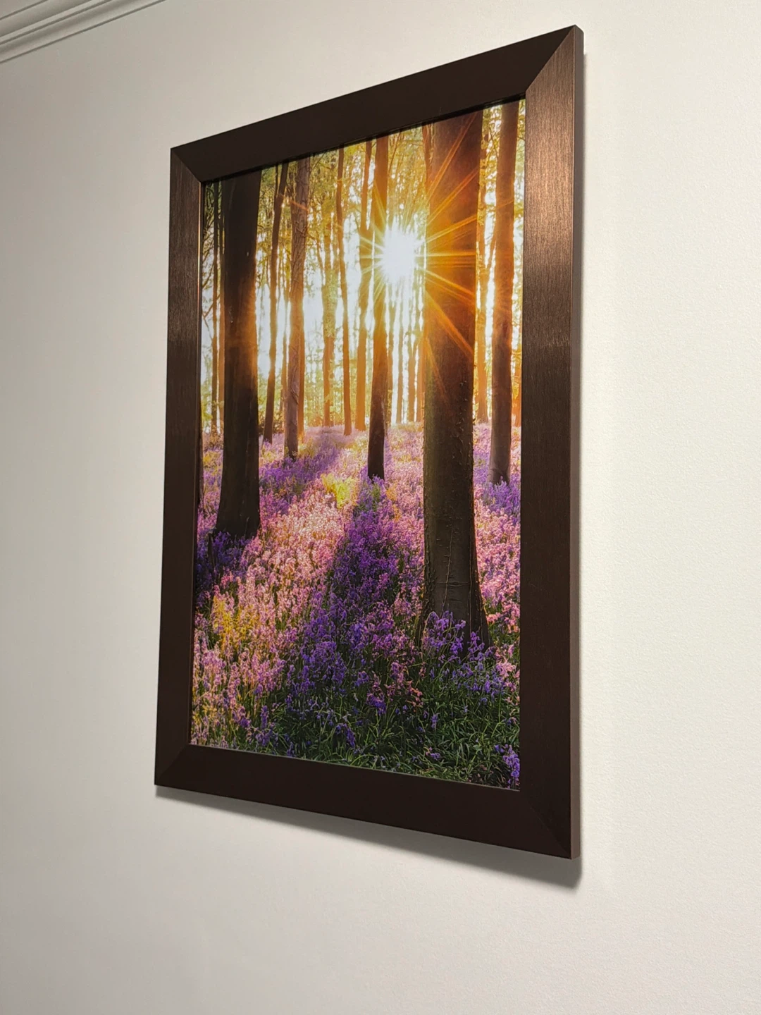 Framed Forest Scene Wall Art