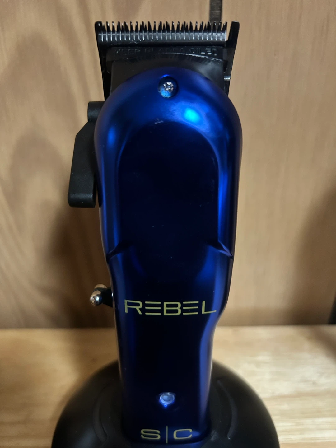 SC Rebel - photo 3