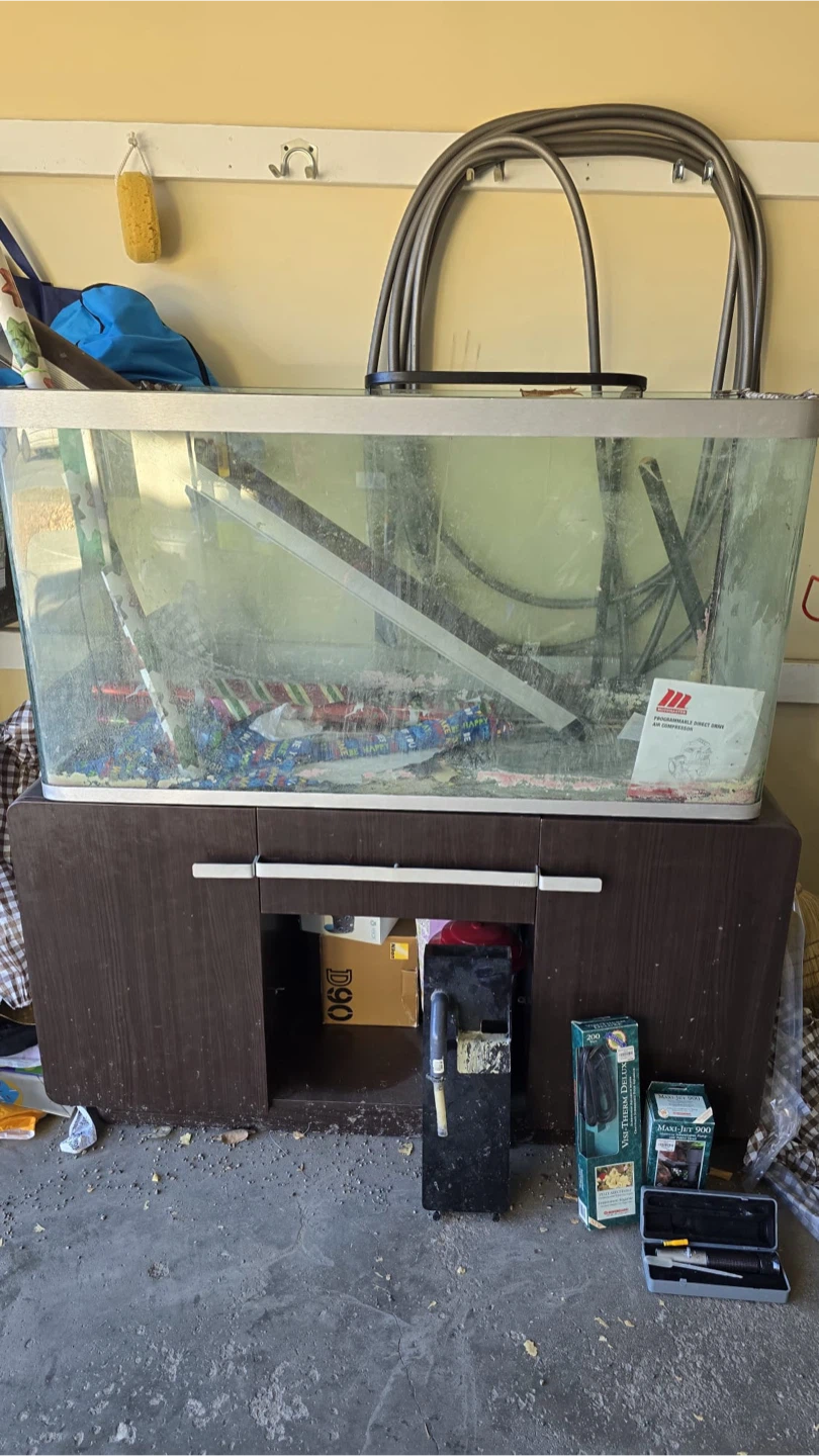 Aquarium and Accessories