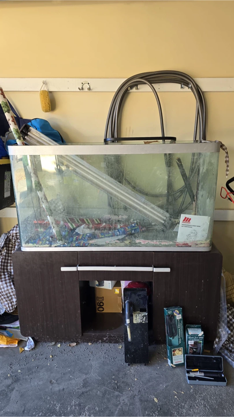 Aquarium and Accessories - photo 2