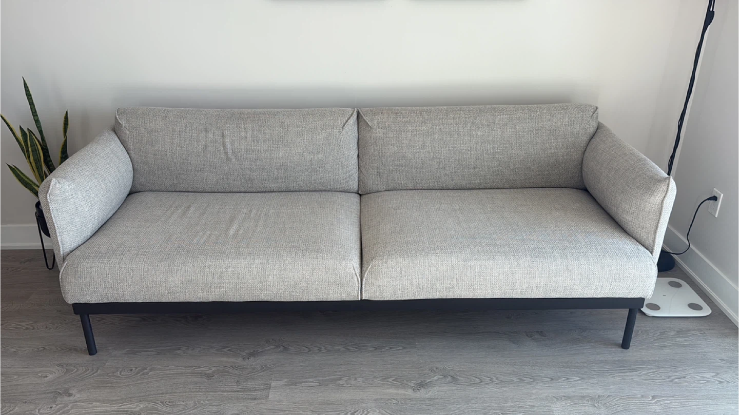 IKEA ÄPPLARYD Sofa - Lejde light gray - photo 2