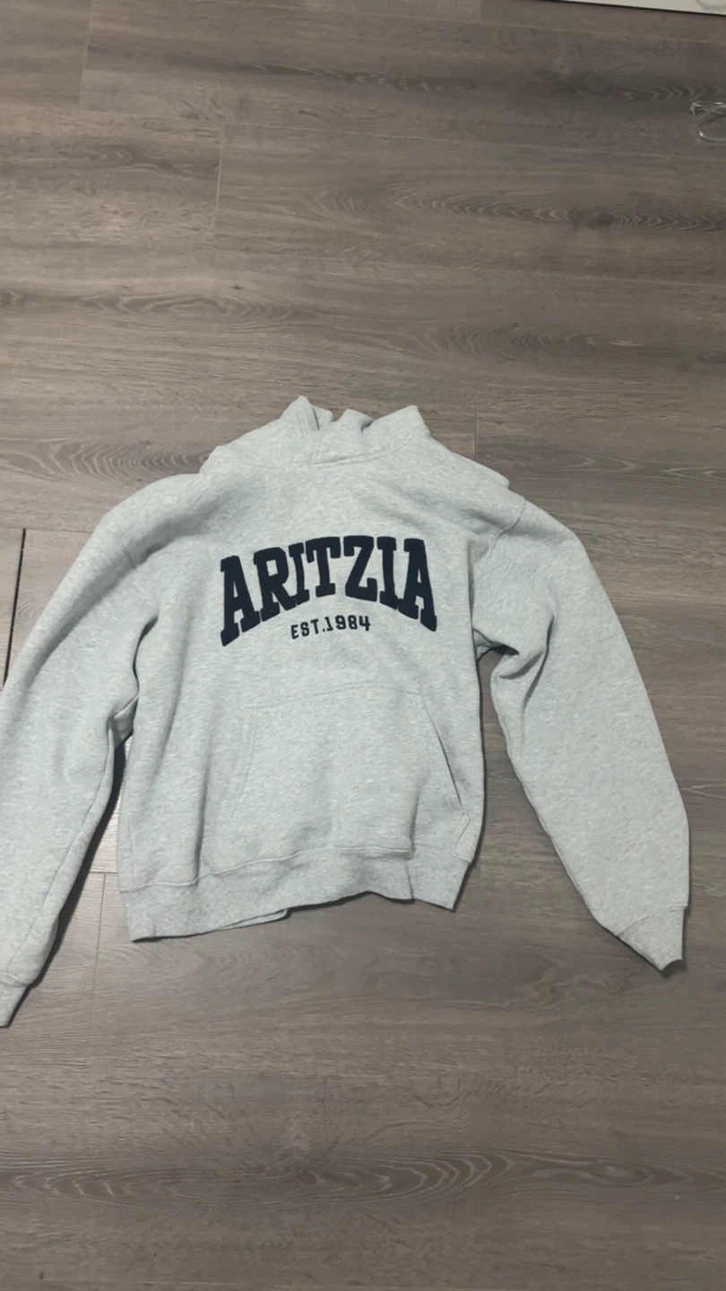Aritzia Grey Hoodie